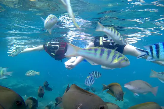 Bali Blue Lagoon Snorkeling