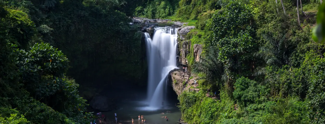 Excursión a la cascada Tegenungan y Ubud en Bali