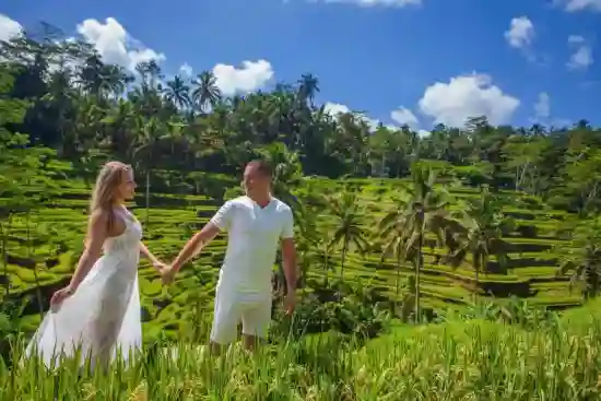 Los Mejores Tours por Ubud y las Cascadas de Bali